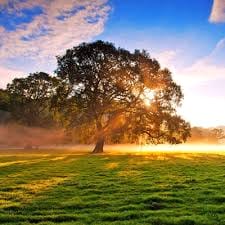 Hoàng Gia Hưng avatar